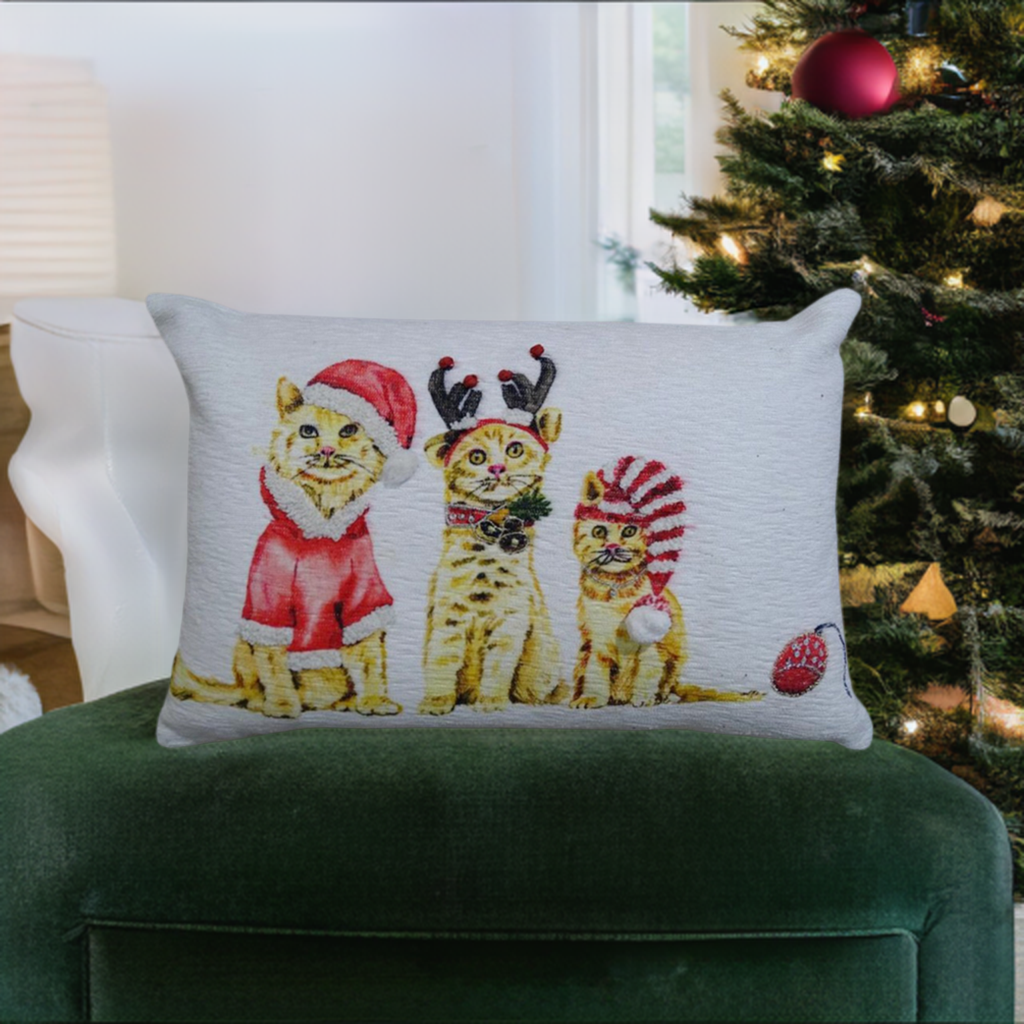 Christmas Throw Pillow for couch 14