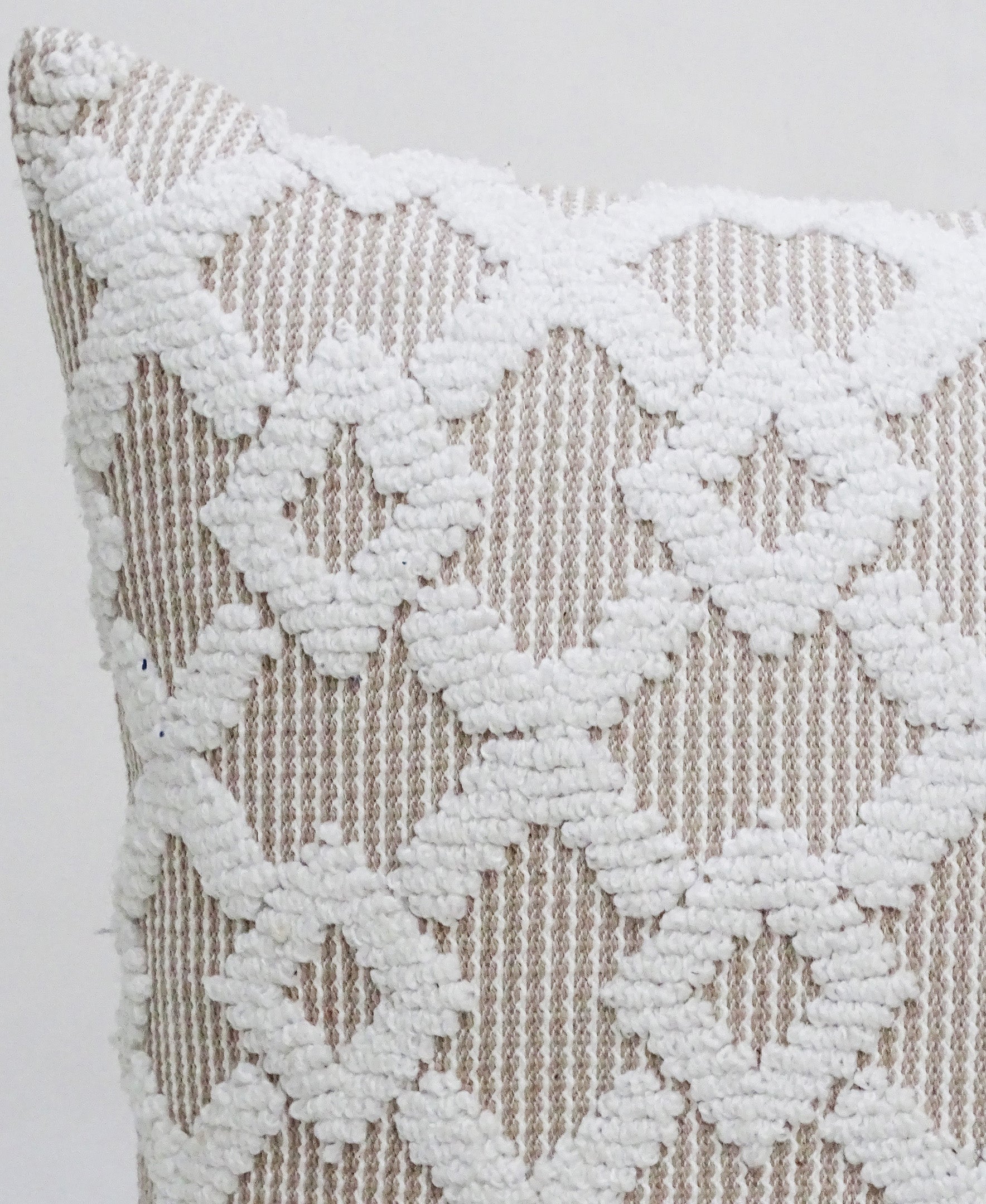 Decorative Beige Accent Throw Pillow  20