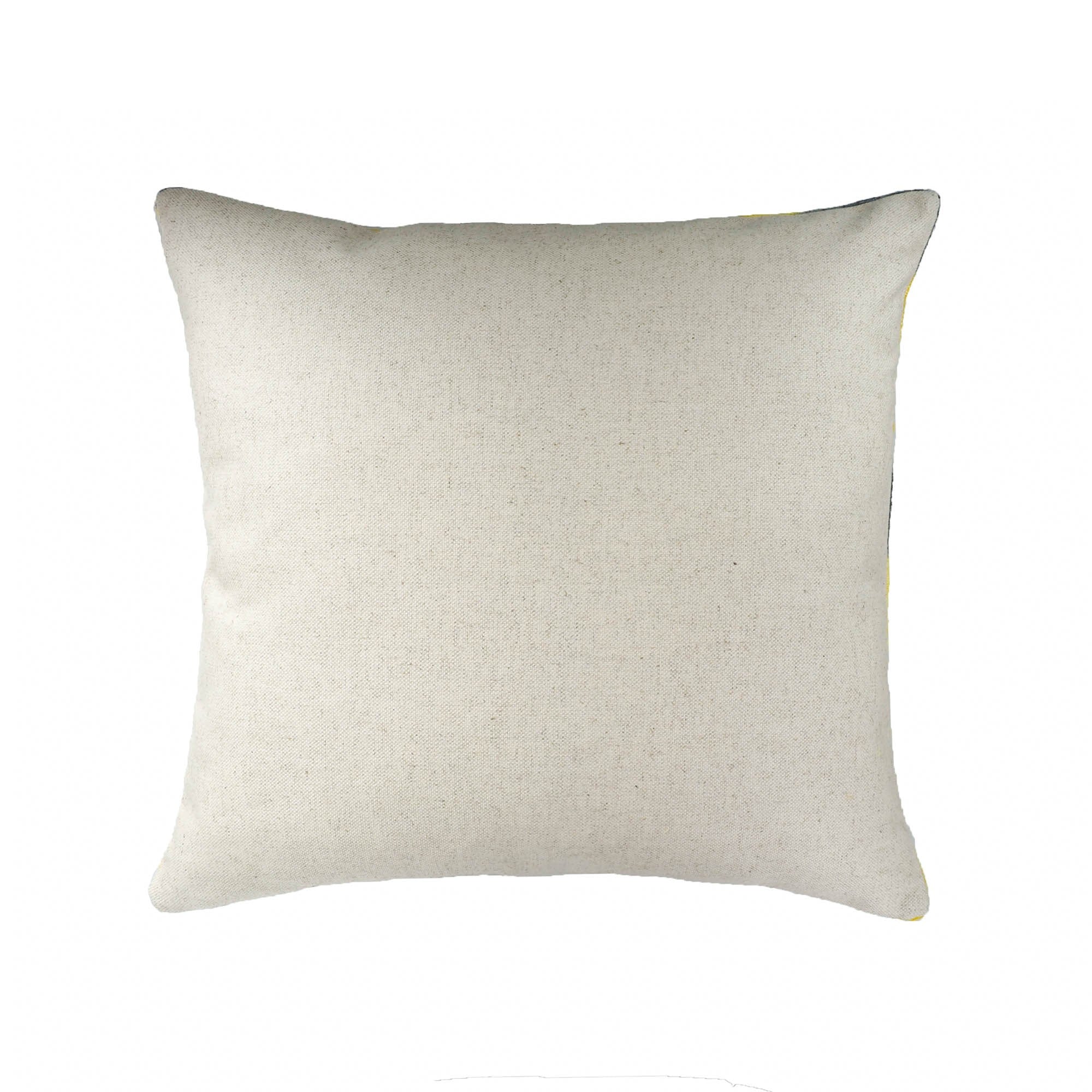 Eden Silk Velvet Ikat Throw Pillow Cover, 20 x 20