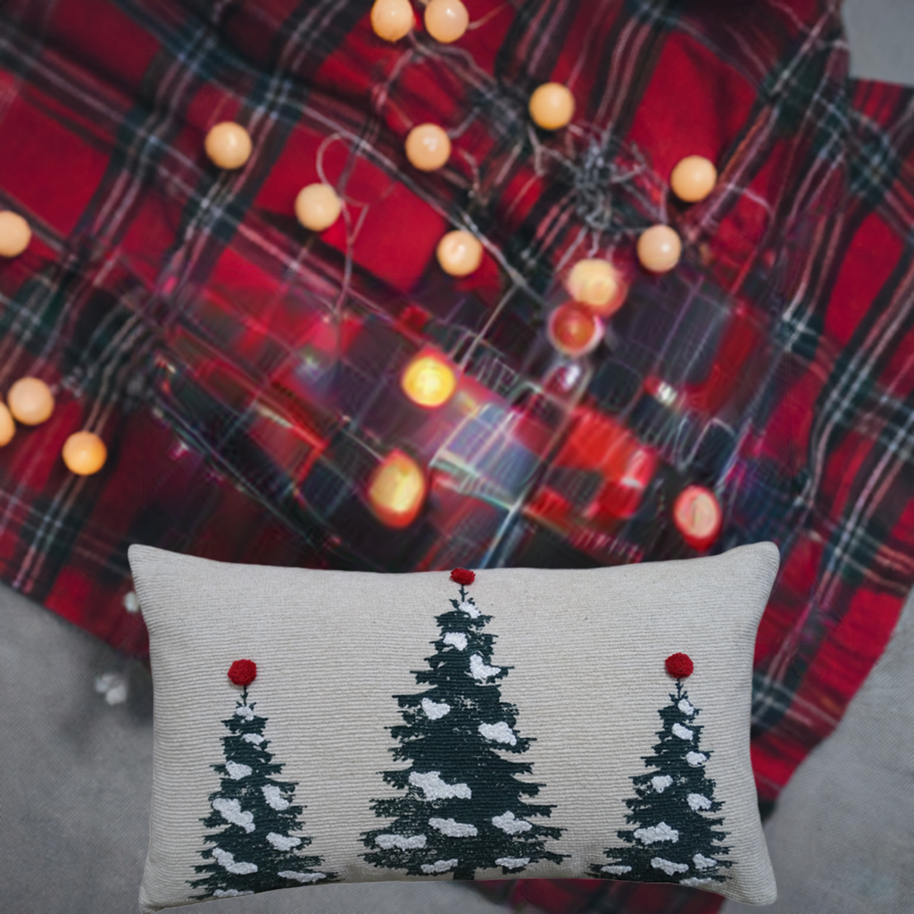 Christmas Throw Pillow for couch 14